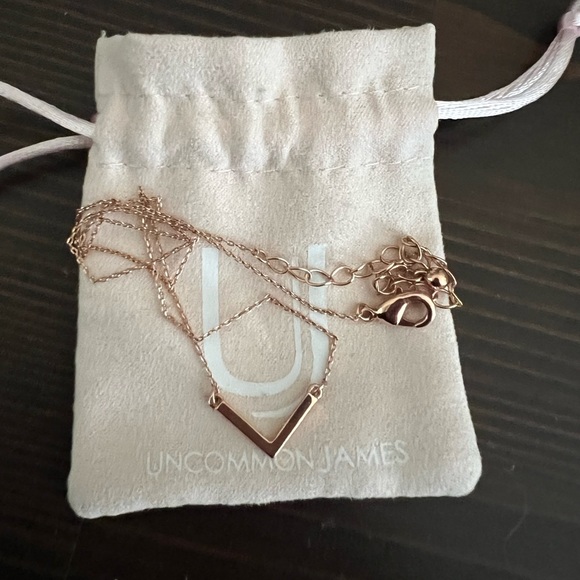 Uncommon James Jewelry - Uncommon James Baby V Necklace